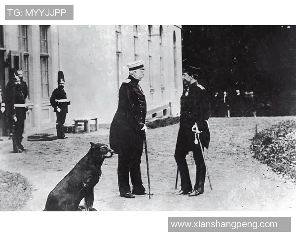 海牙与威廉二世投注分析专业性对比及推荐机构探讨